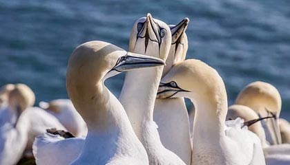 昭通伴游，定制QQ：3494206190微信：act1322